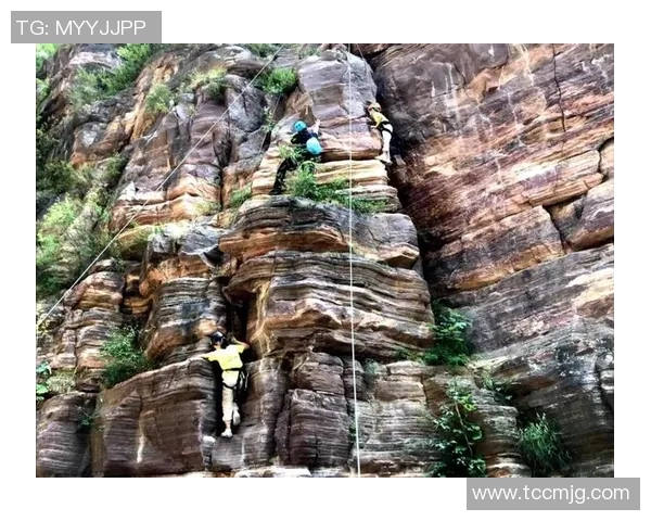 最新攀岩团队协作榜单揭晓北京攀岩队稳居第一名